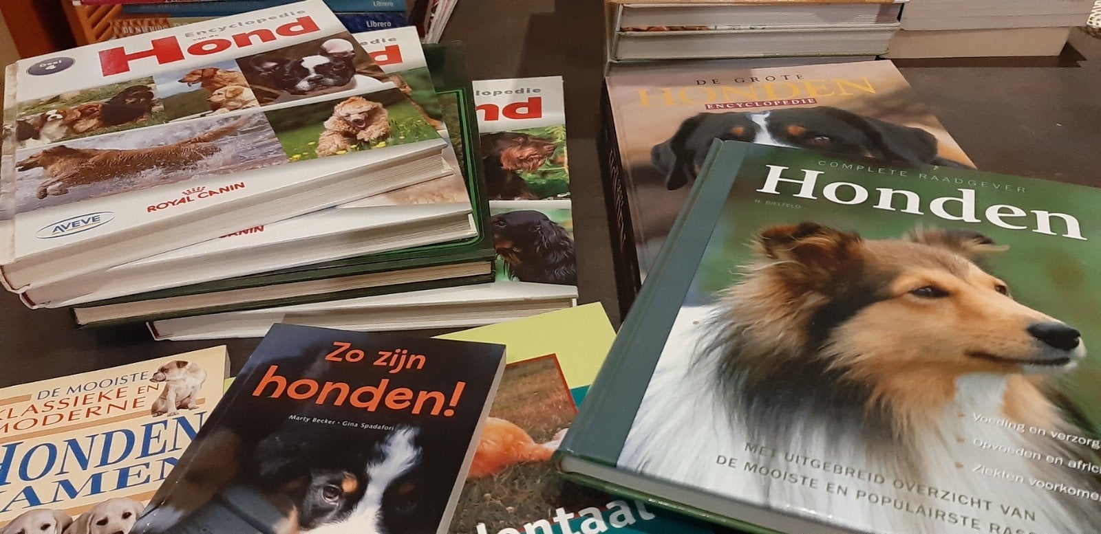 9 honden boeken, Enlèvement, Chiens