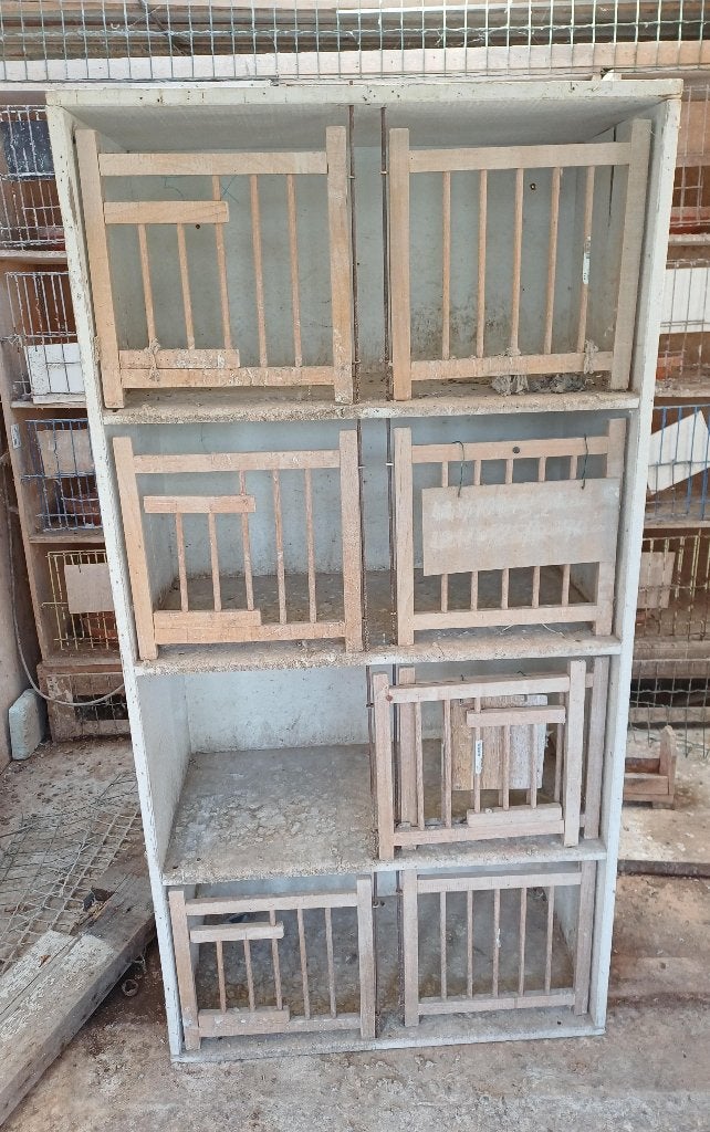 Houten Kweekbak, Enlèvement, Utilisé, Bois, Cage d'élevage