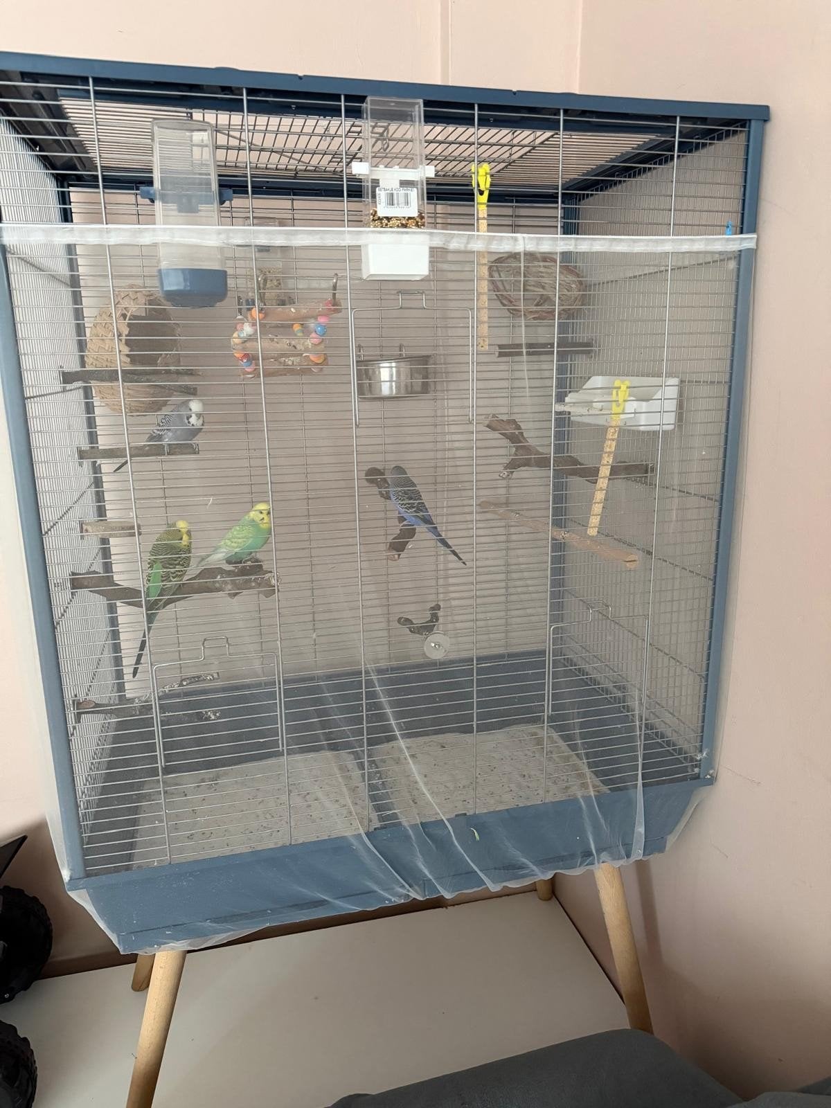 4 stuks vogels en kooi, Enlèvement ou Envoi