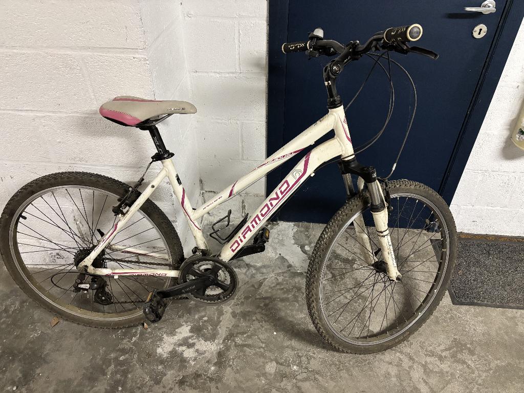 Vtt Enfant (à partir de 10 ans), Autres marques, 45 à 49 cm, Femmes, Enlèvement