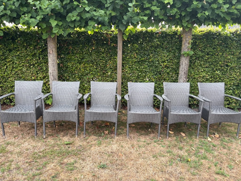 Tuinstoelen rotan 6 stuks, Tuin en Terras, Ophalen, Rotan