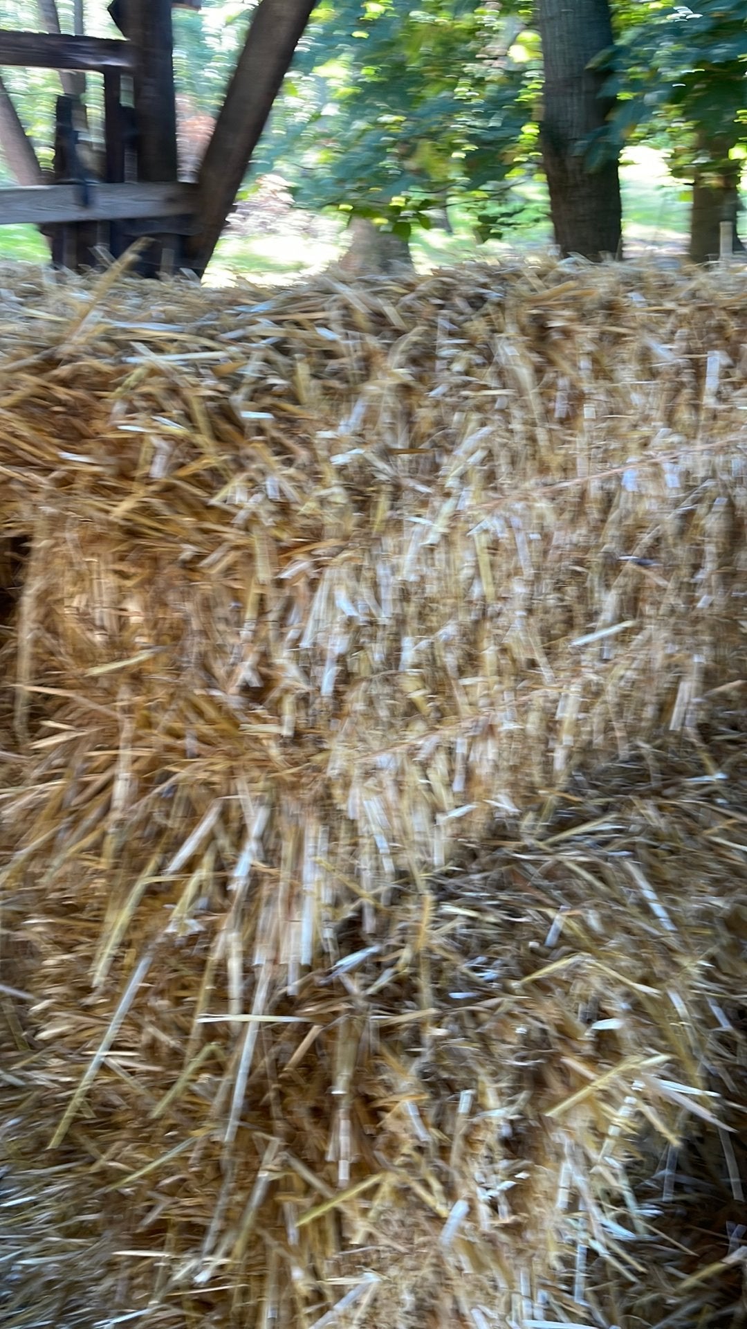 Kleine strobalen, Enlèvement