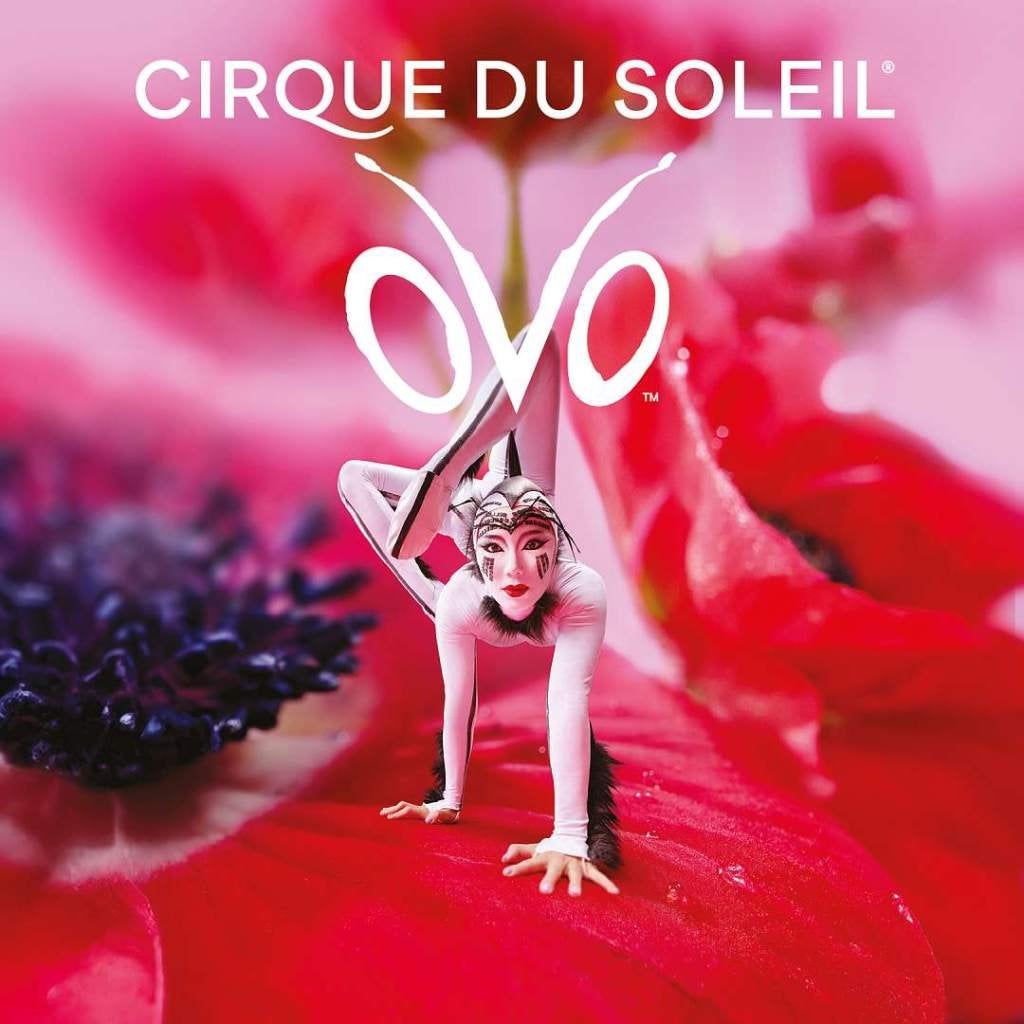 2 billets OVO pour le Cirque du Soleil - Bruxelles (30/09), Tickets & Billets, Deux personnes, Septembre