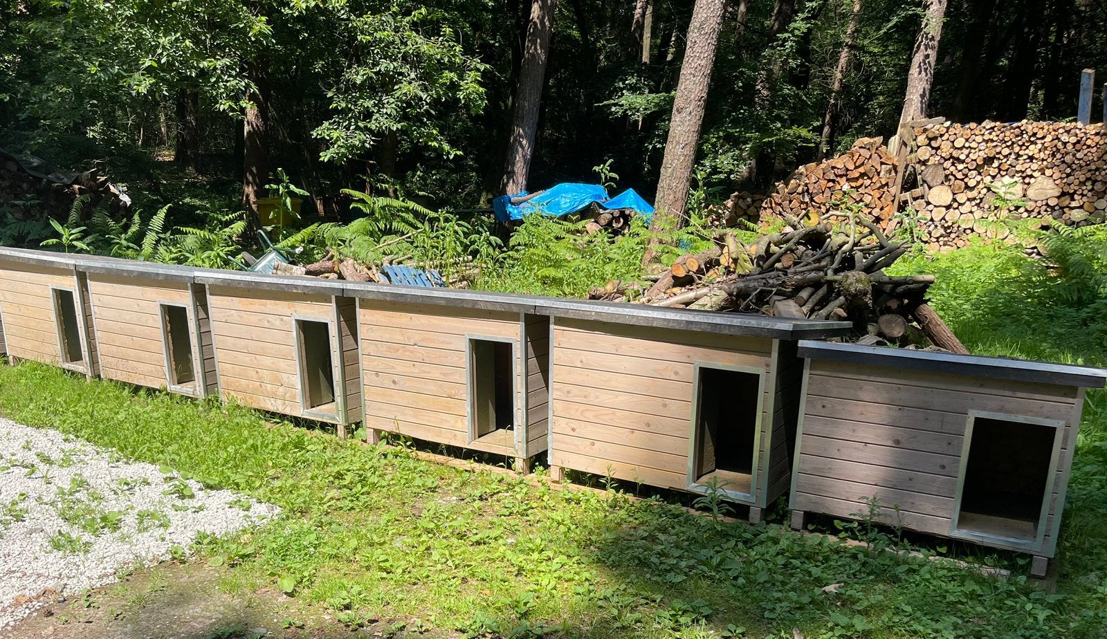 6 niches pour chiens, Animaux & Accessoires, Maisons pour chiens, Utilisé, Niche à chien, 65 à 100 cm, 110 cm ou plus, Enlèvement