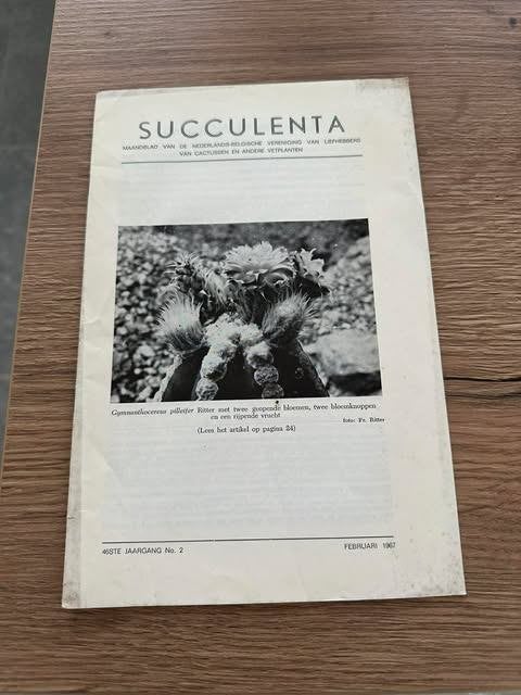 Succulenta maandblad cactussen vetplanten 1967 N 2, Huis en Inrichting, Kamerplanten, Ophalen of Verzenden, Vetplant