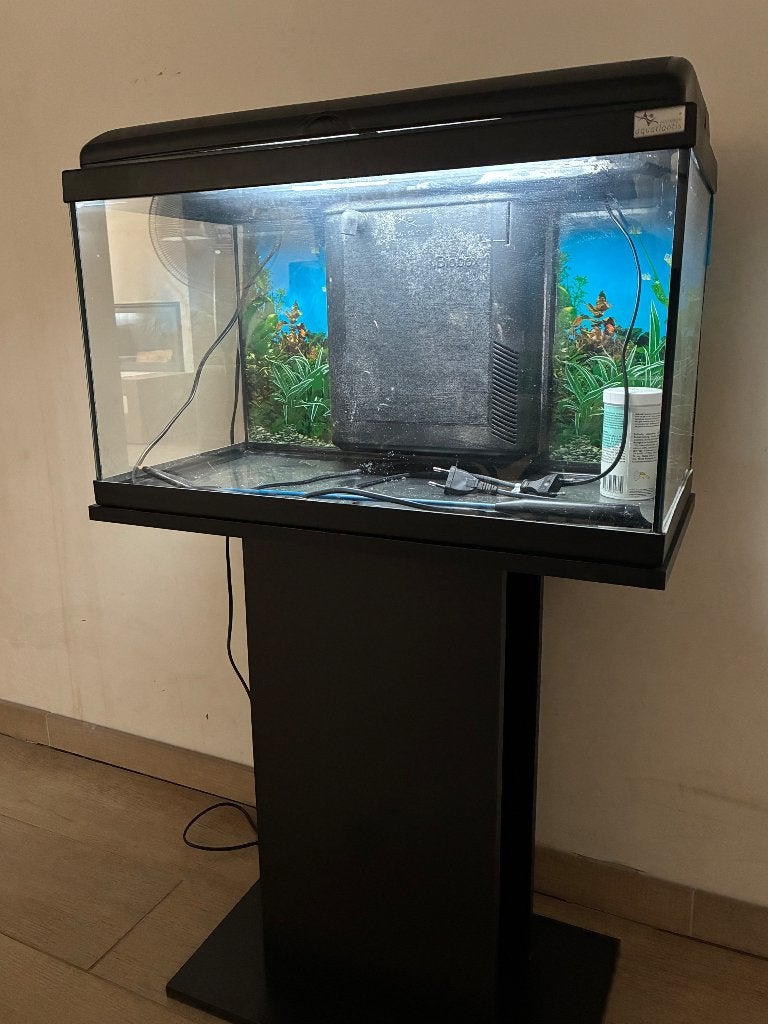Aquarium, Gebruikt, Aquatlantis, Leeg aquarium, Ophalen
