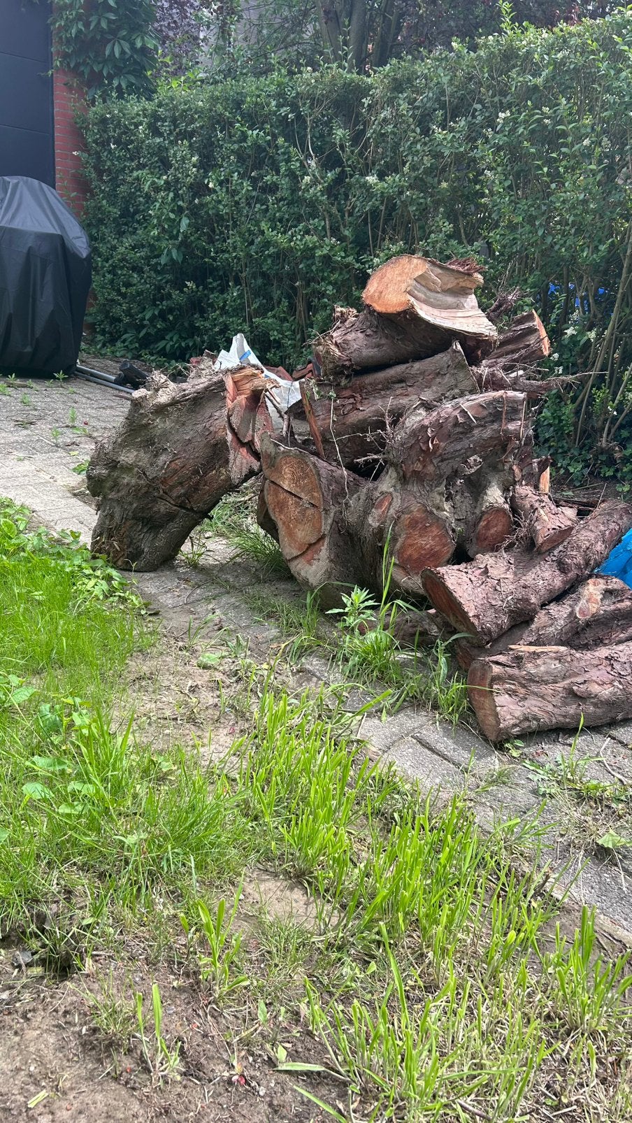 Gratis brandhout, Tuin en Terras, Brandhout, Minder dan 3 m³, Ophalen, Overige houtsoorten, Blokken