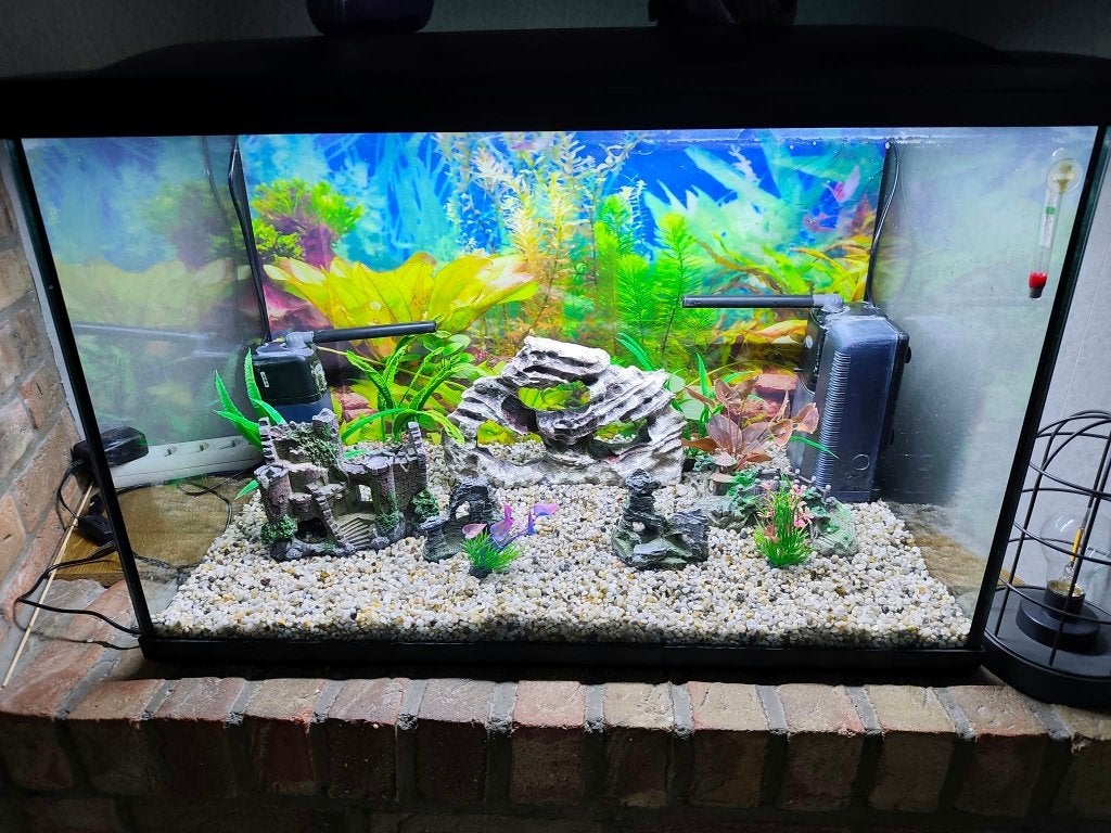 aquarium van het merk superfish 150 liter, Enlèvement, Accessoires inclus, Comme neuf, Superfish