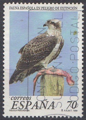 Spanje - Visarend - 1999, Postzegels en Munten, Postzegels | Europa | Spanje, Ophalen of Verzenden, Gestempeld