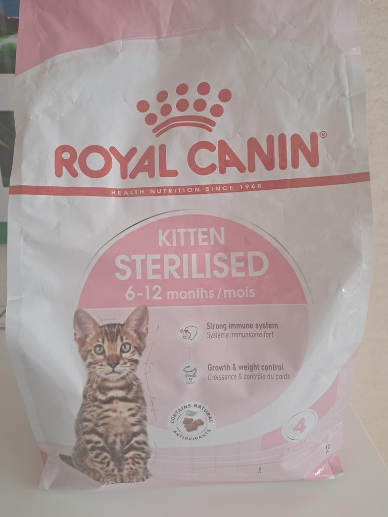 Katteneten voor kitten, Enlèvement