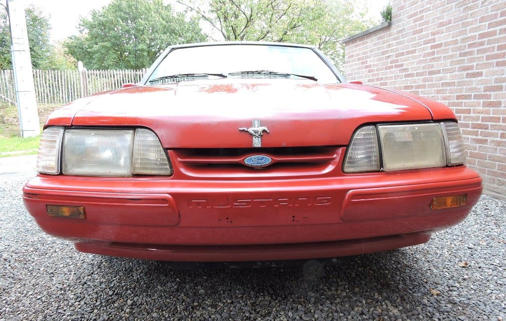 Mustang, foto 7
