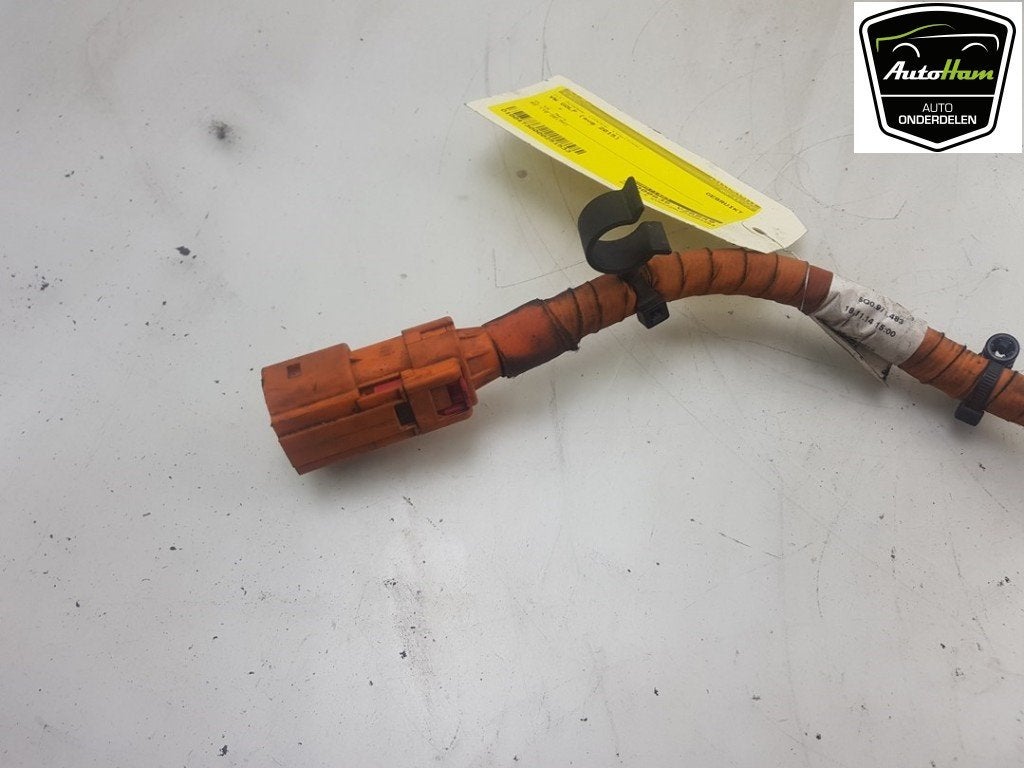 CÂBLE HT (HAUTE TENSION) Volkswagen Golf VII (AUA), Volkswagen, Utilisé, Lisa.Scalzo@aptiv.com, Aptiv PLC