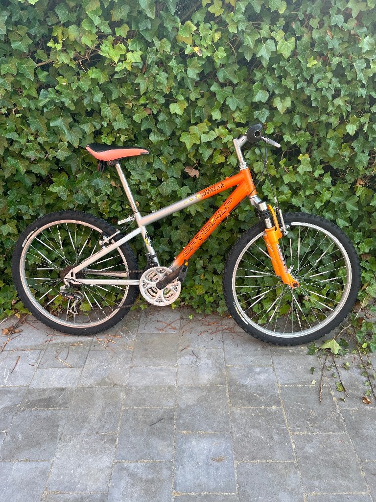 24 inch mountainbike, Ophalen, Gebruikt, 24 inch, Versnellingen