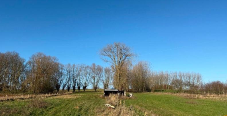 Weide met stal te koop (Haaltert) geschikt voor paarden, Haaltert, Verkoop zonder makelaar, 1500 m² of meer