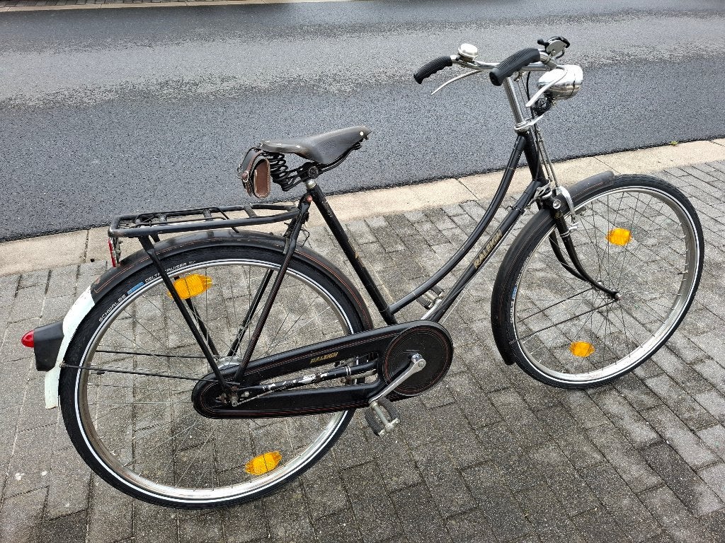 retro raleigh, Enlèvement