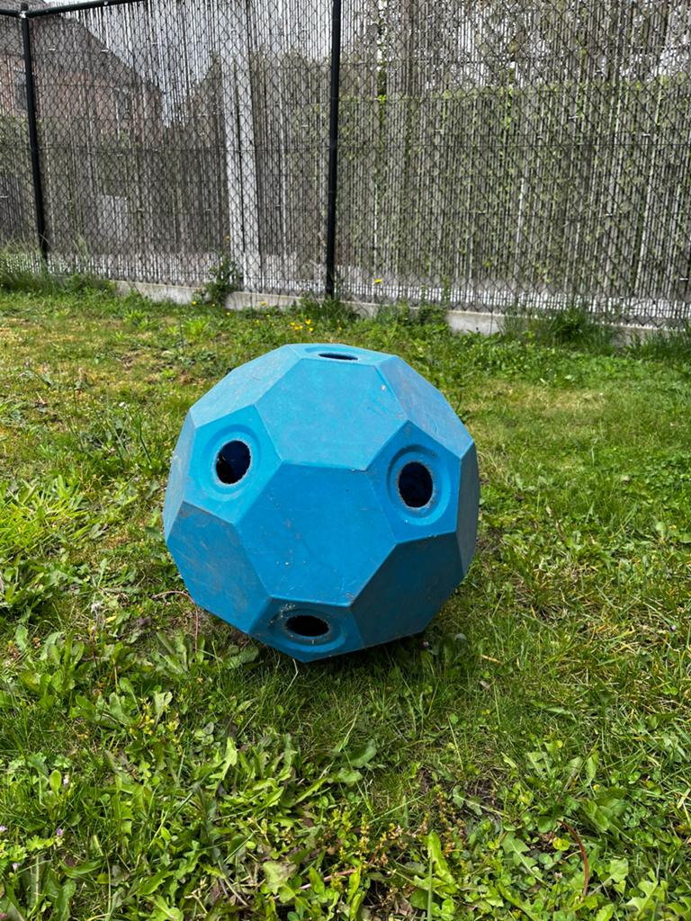 Divers paardmateriaal, Dieren en Toebehoren, Ophalen, Gebruikt