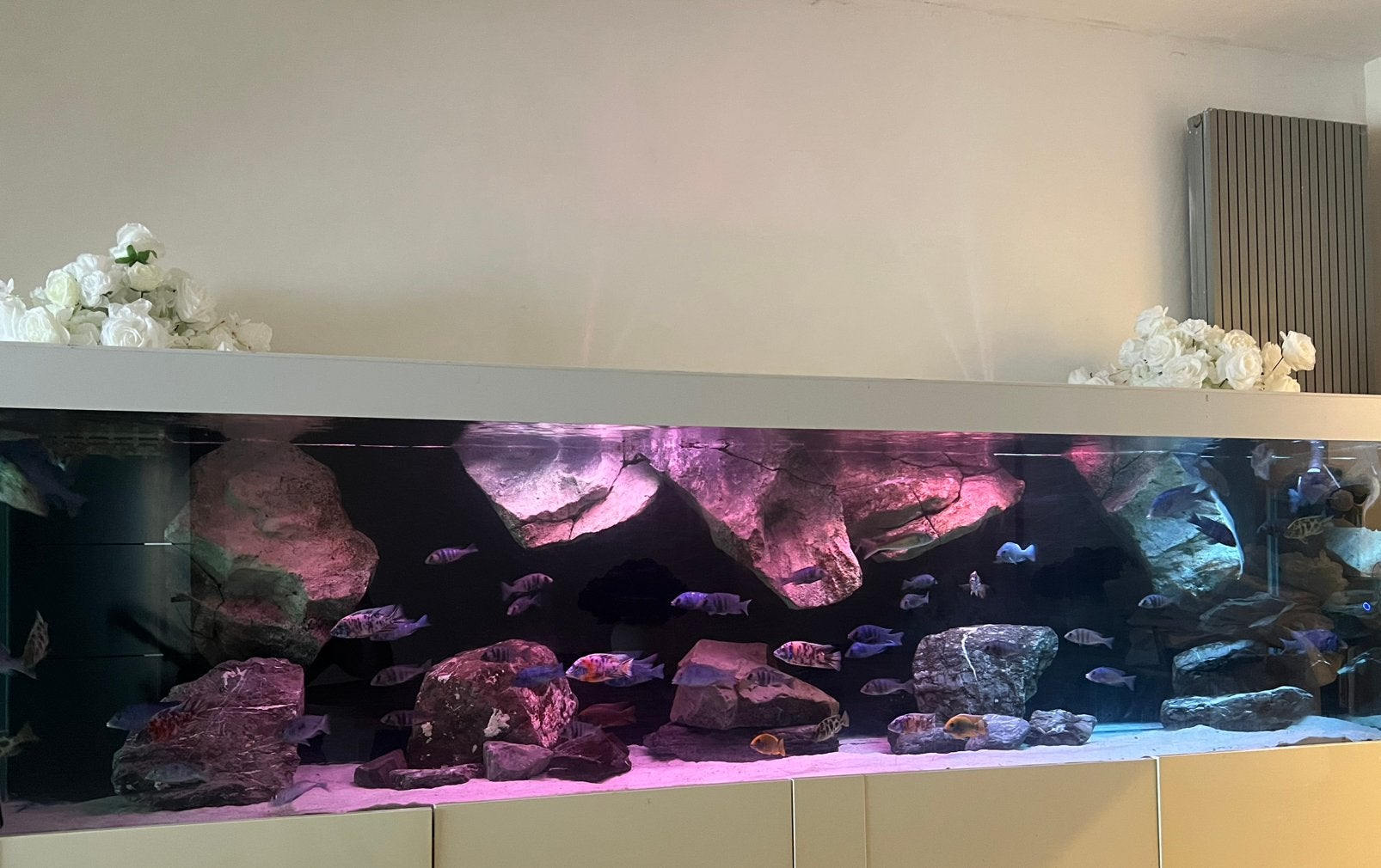 Aquarium stenen (decoratie) - bijna gratis, Dieren en Toebehoren, Ophalen, Zo goed als nieuw, Decoratie