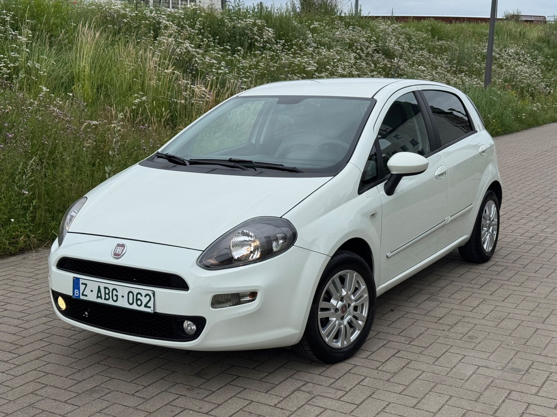 Fiat Punto, Autos, Fiat, Euro 5, Achat, 50 kW, Entreprise
