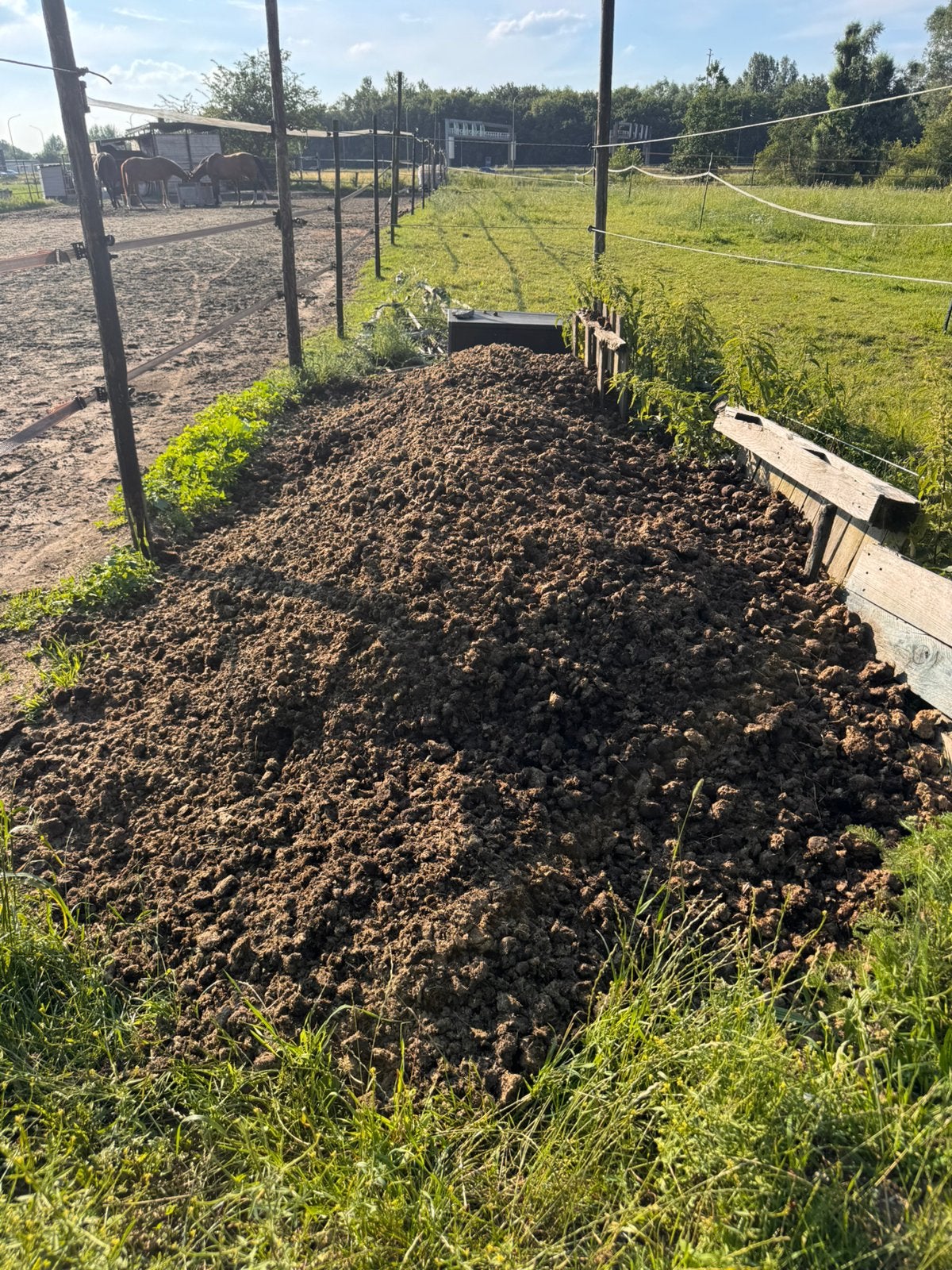 Gratis verse paardenmest, Enlèvement, Fumier