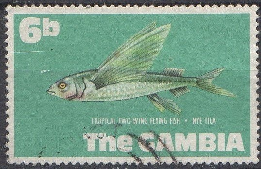 Gambia - Vliegende vis - 1971, Timbres & Monnaies, Timbres | Afrique, Enlèvement ou Envoi, Affranchi