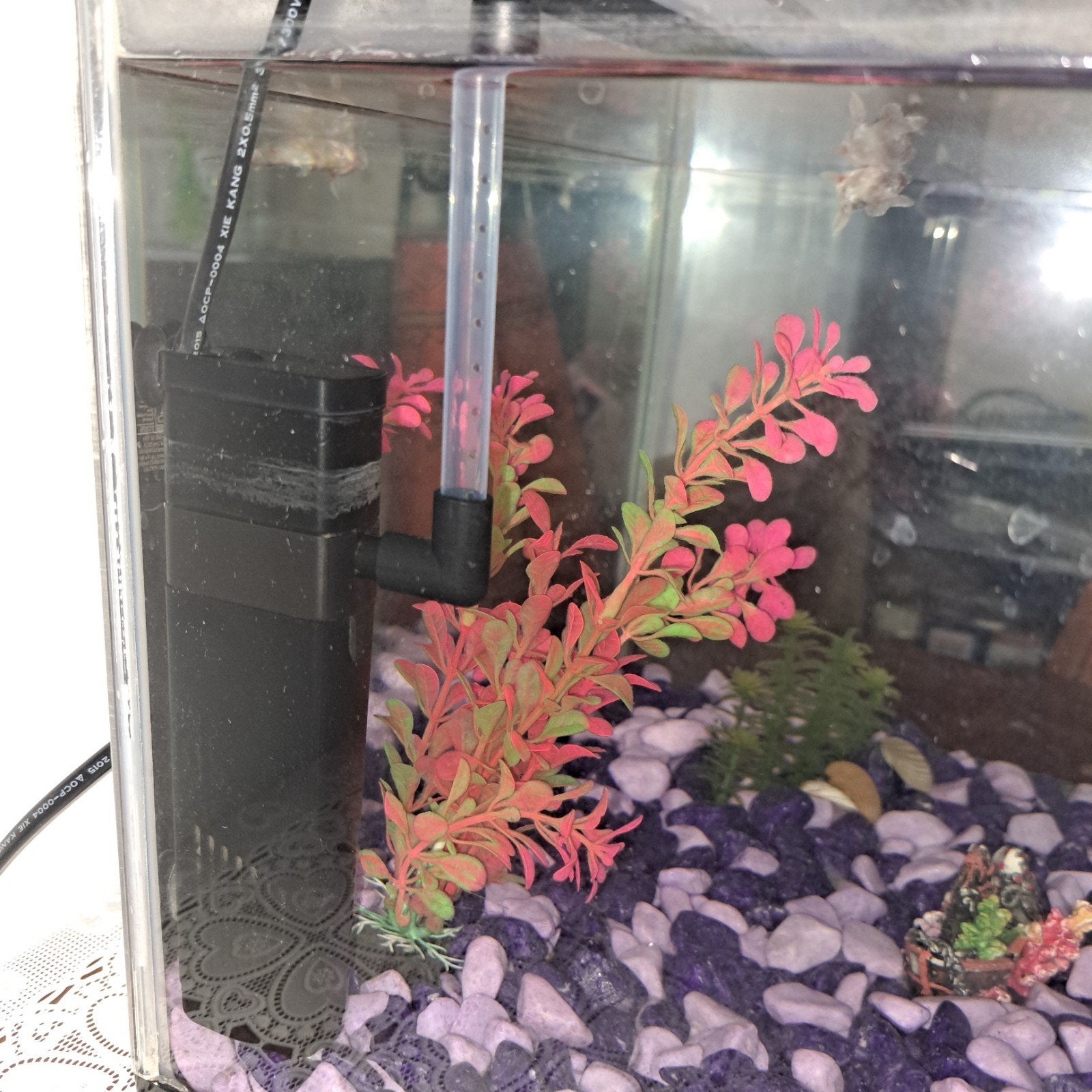 Decore et produits et nourriture  poissons aquarium, Animaux & Accessoires, Enlèvement