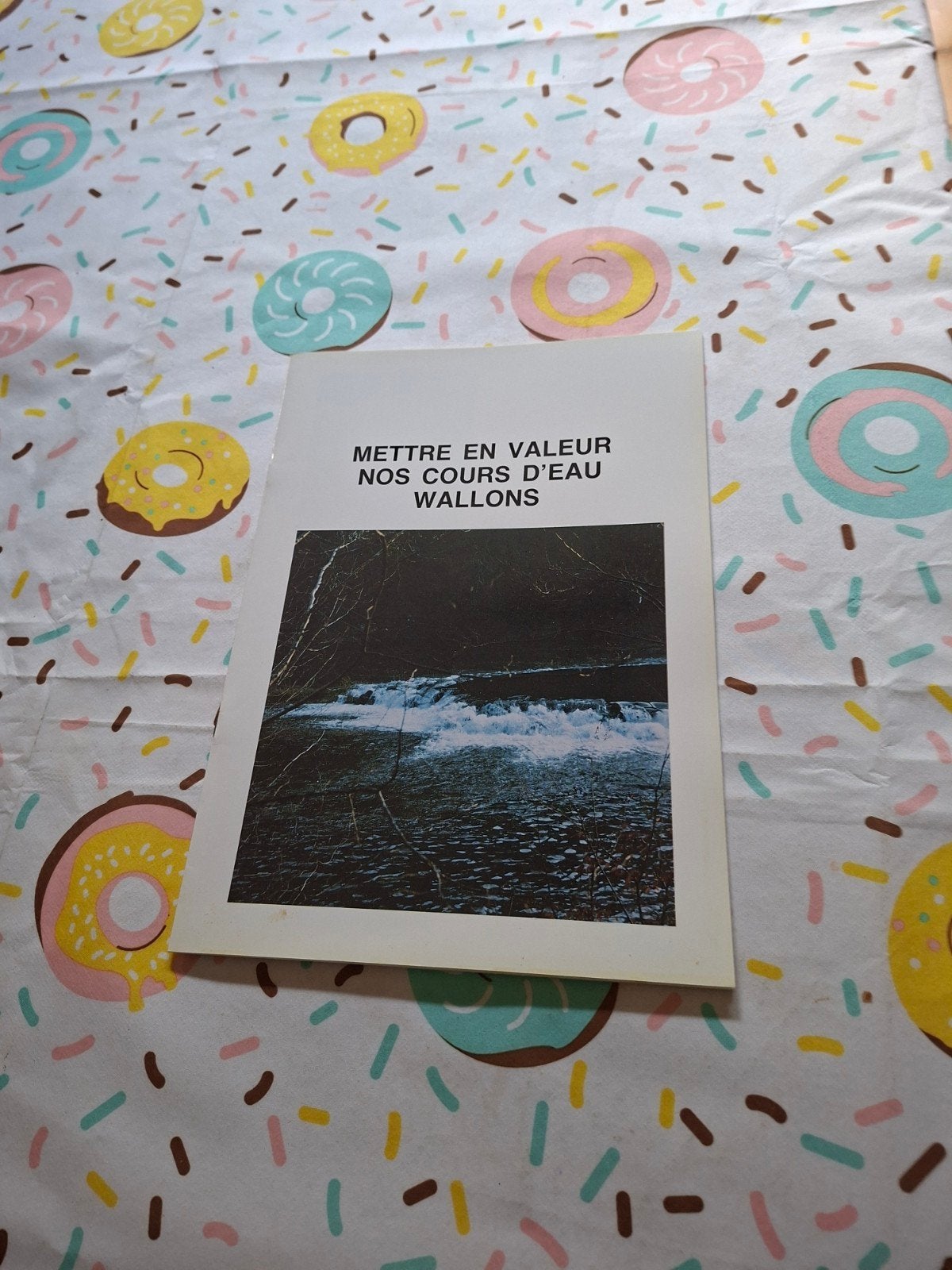 Mettre en vakeur nos cours d'eau wallons., Collections, Revues, Journaux & Coupures, Enlèvement ou Envoi