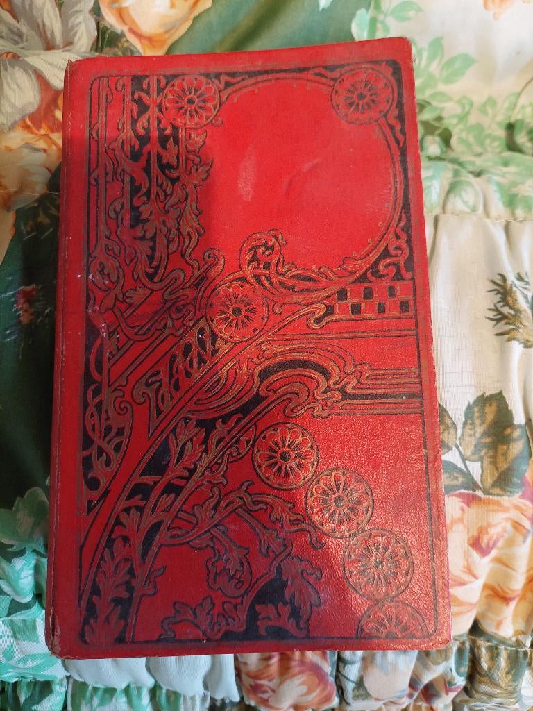 les aventures d'un grillon livre ancien, Enlèvement