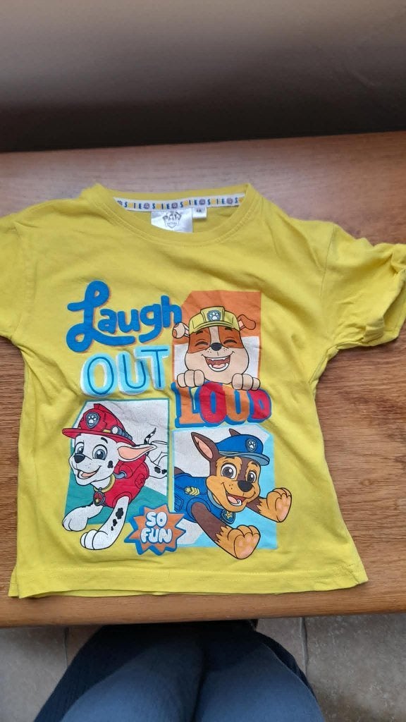 Lot 2 Tee-shirts MC Taille 4ans Nickolodeon Paw Patrol, Garçon, Enlèvement ou Envoi, Autres types, Utilisé
