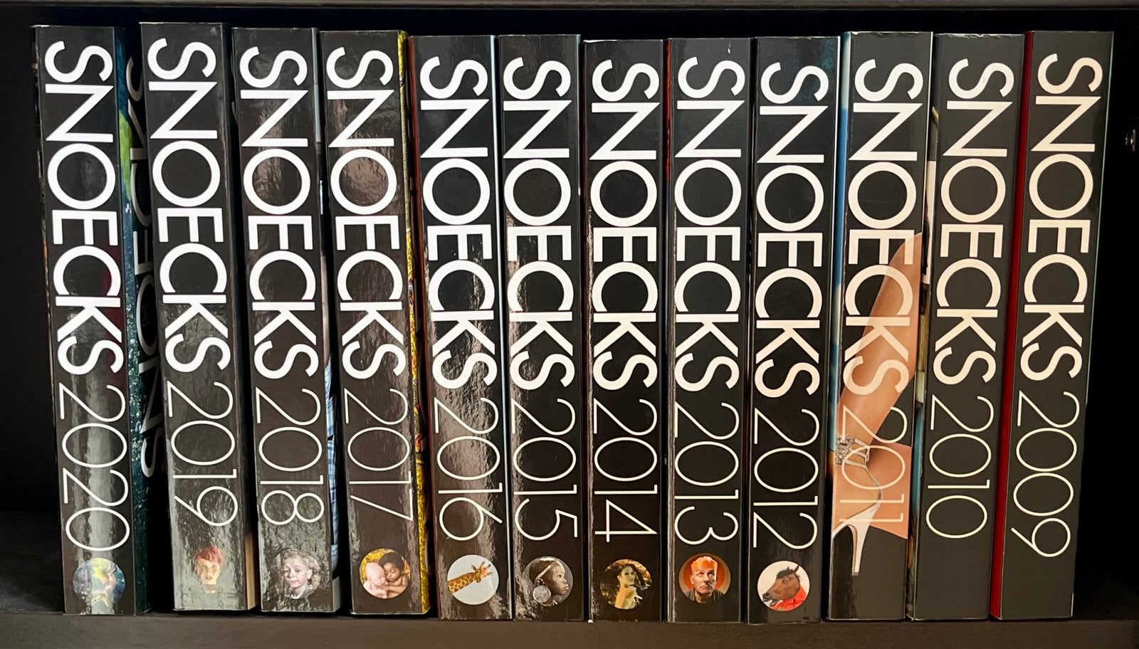 Snoecks jaarlijkse kunstboeken - reeks 2009-2020, Ophalen, Zo goed als nieuw