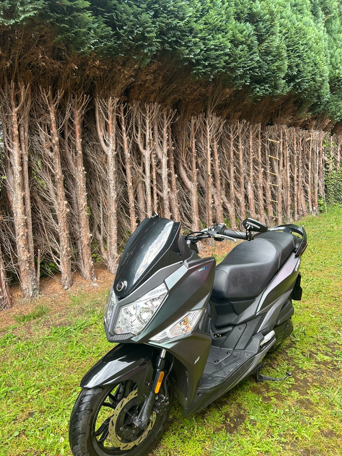 SYM Jet 14 A Klasse (bouwjaar 2024)euro 5, Comme neuf, Enlèvement, Classe A (25 km/h), Essence