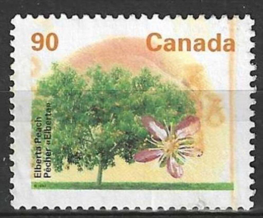 Canada 1995 - Yvert 1421 - Flore - Arbres fruitiers (ZG), Envoi, Non oblitéré
