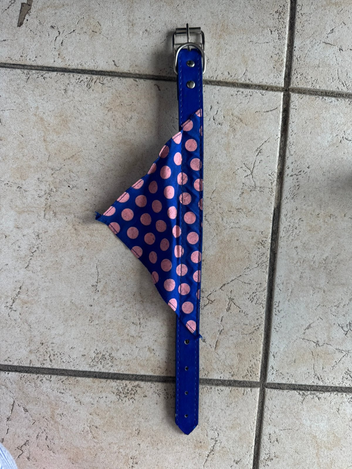 Collier pour chien bleu à pois roses — Design ludique, Enlèvement, Comme neuf