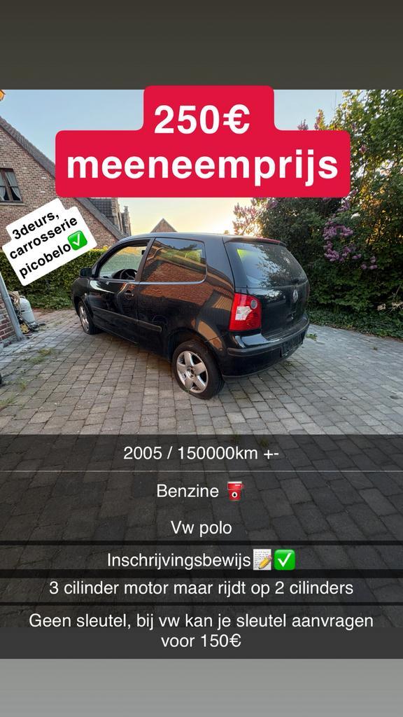 Polo prix export, Ophalen of Verzenden