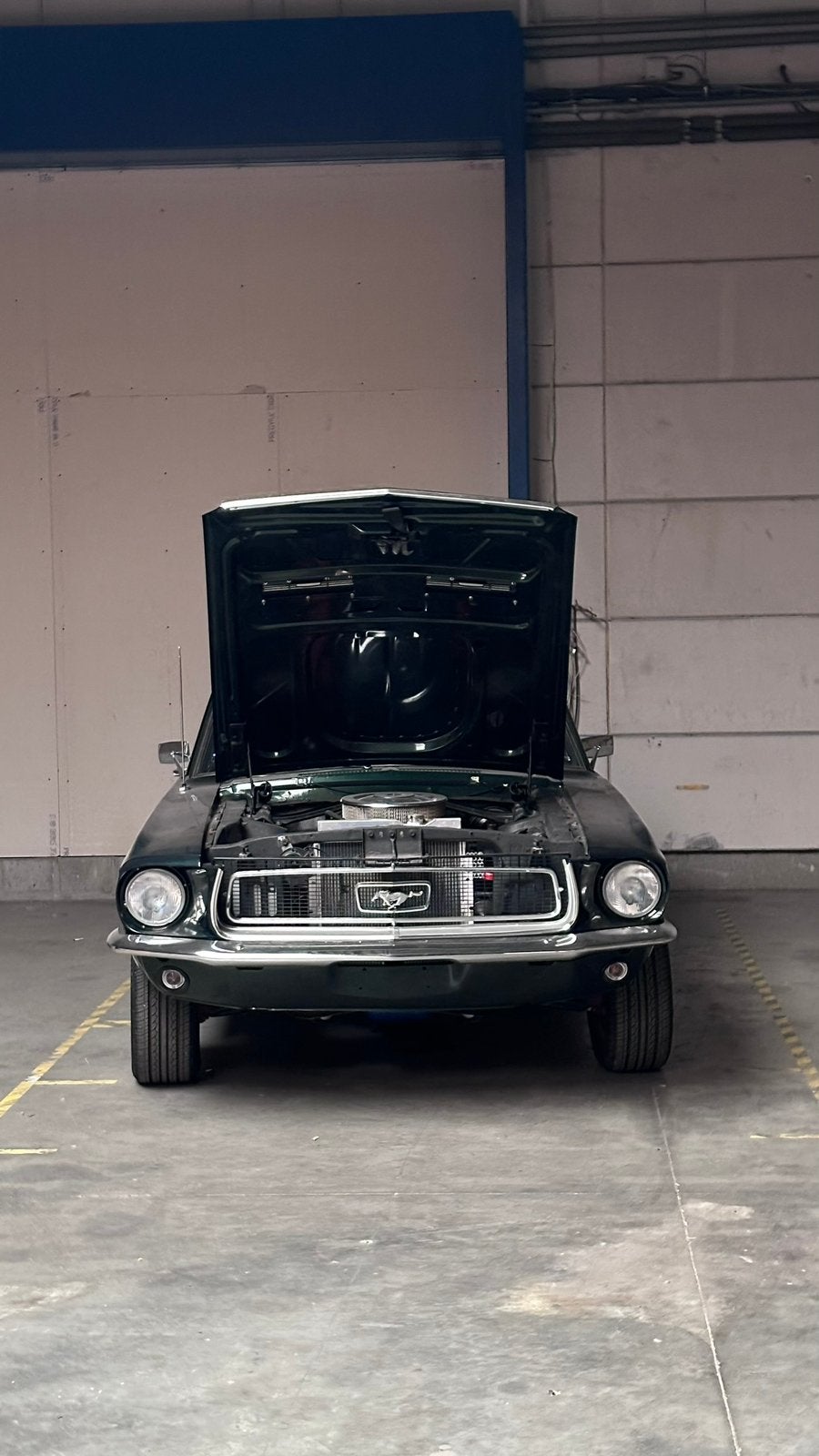 Ford Mustang 1968, foto 8