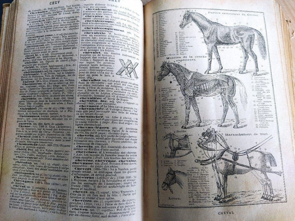 vintage Petit Larousse(1959)+nouveau dictionnaire(1896)illus, Ophalen of Verzenden
