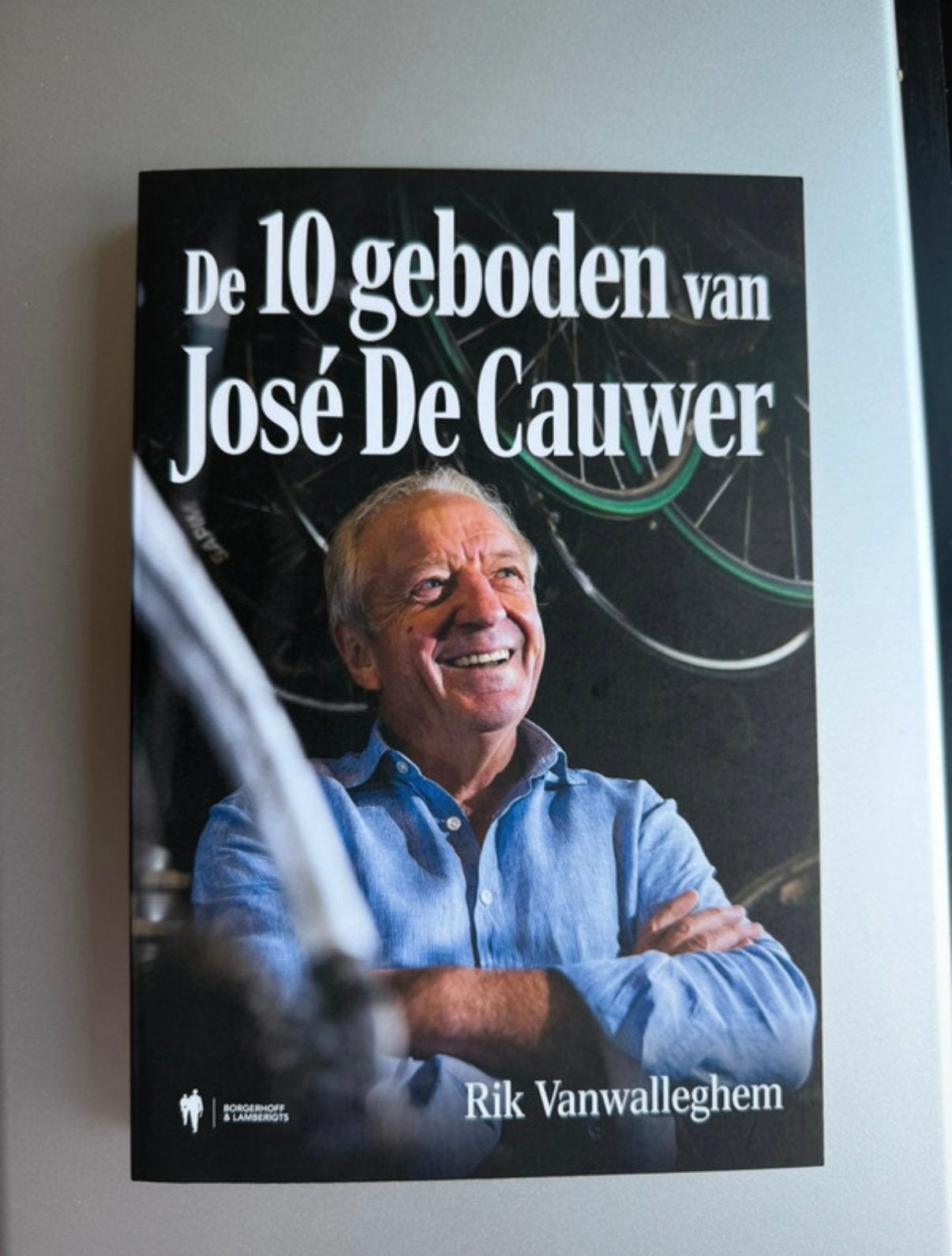 Rik Vanwalleghem - De 10 geboden van José De Cauwer, Ophalen of Verzenden, Rik Vanwalleghem