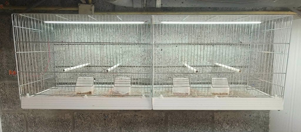 te koop, Animaux & Accessoires, Oiseaux | Cages & Volières, Enlèvement, Utilisé, Aluminium, Cage d'élevage