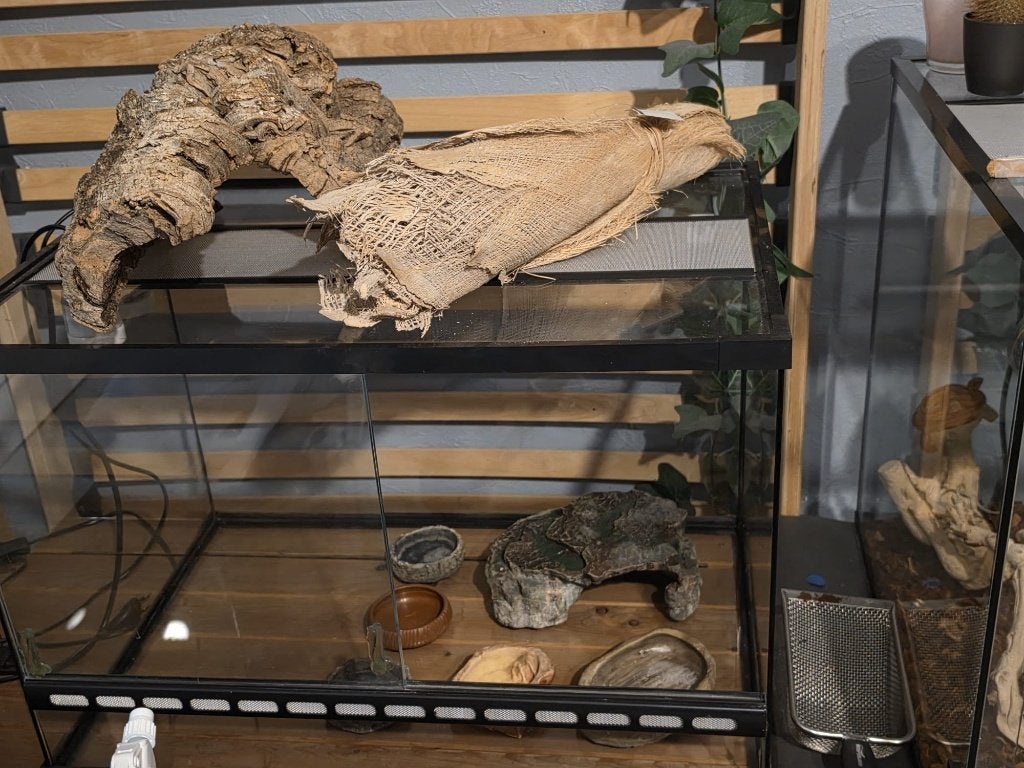 2 Terrariums à vendre, Enlèvement, Comme neuf, Terrarium ou Paludarium