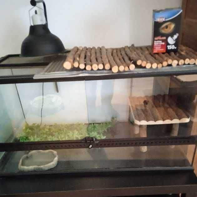 Terrarium, Dieren en Toebehoren, Ophalen, Gebruikt, Terrarium of Paludarium