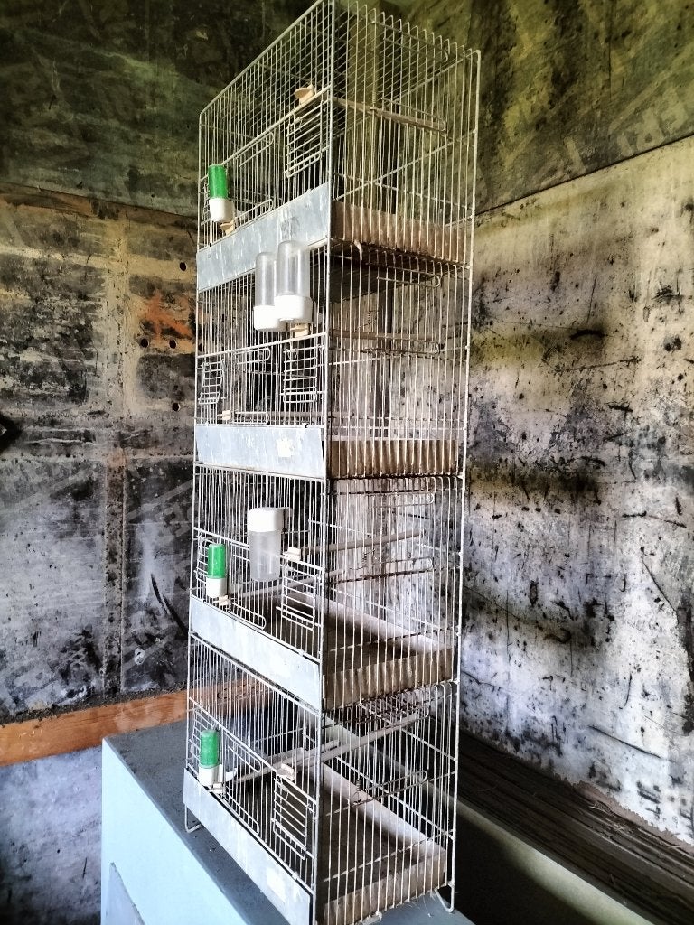 Vogelkooi, Dieren en Toebehoren, Ophalen, Gebruikt, Metaal, Broedkooi of Kweekkooi