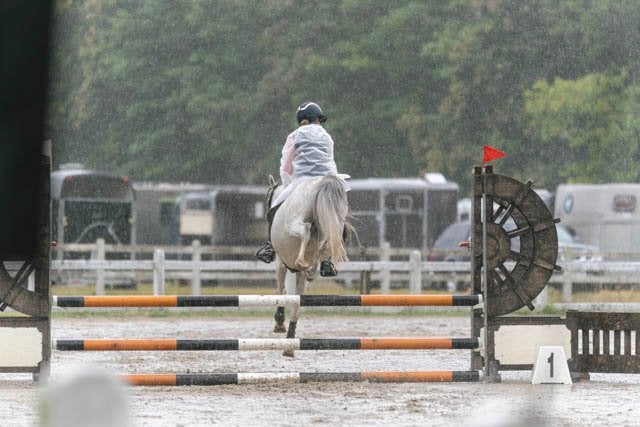 D, E pony of klein paard GEZOCHT, Zadelmak, E pony (1.48m - 1.57m), Springpony, 3 tot 6 jaar