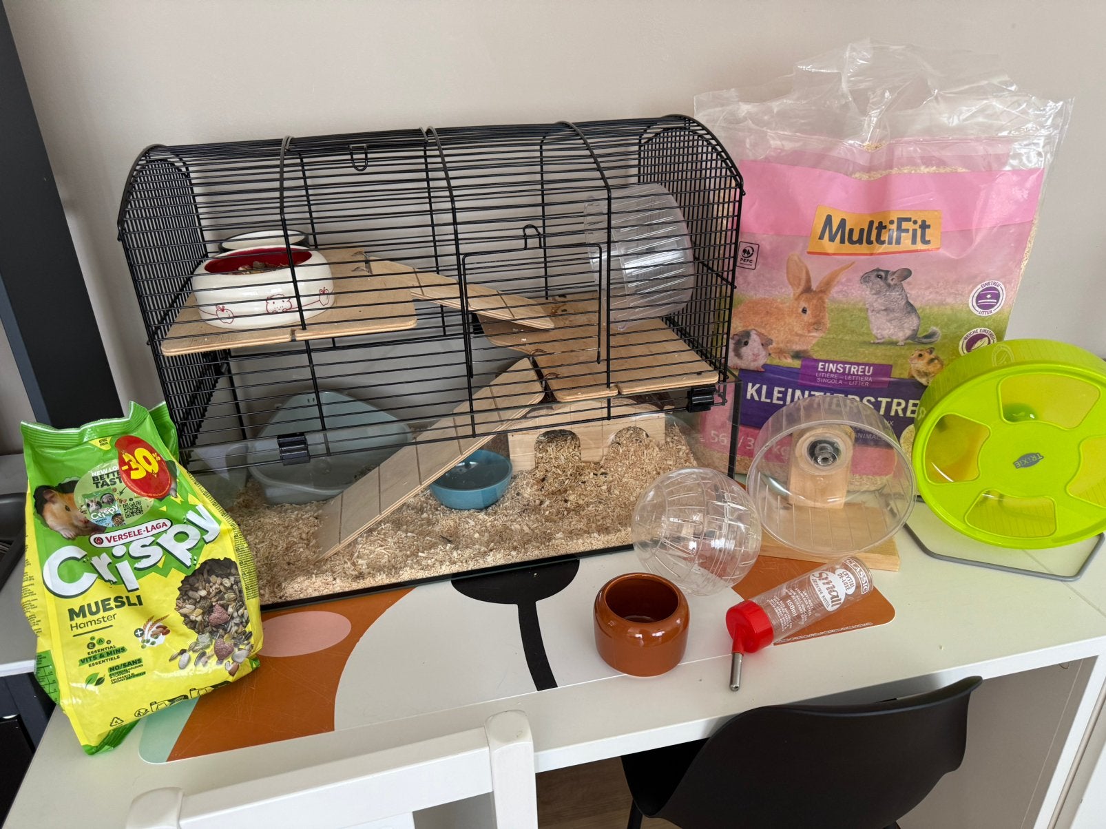 Syrisch hamster + toebehoren, Dieren en Toebehoren, Knaagdieren, Hamster, Mannelijk, Mei, Tam