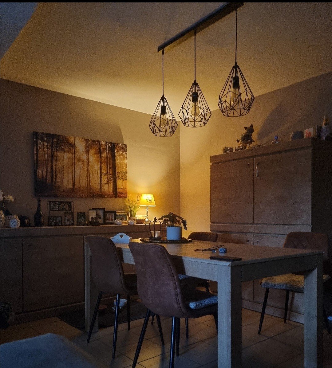 prachtige hanglamp, Huis en Inrichting, Ophalen