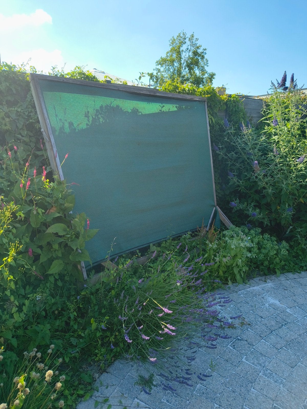Windscherm/zonnescherm, Jardin & Terrasse, Écrans de jardin, Enlèvement