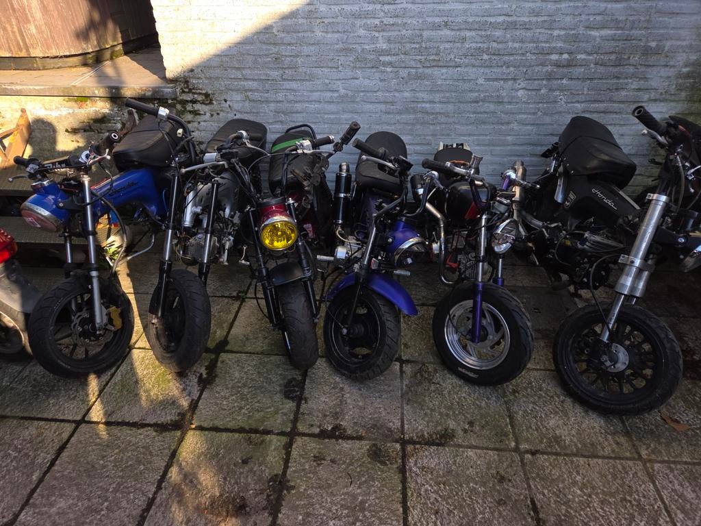 Lot 8 daxen voor opmaak, Enlèvement