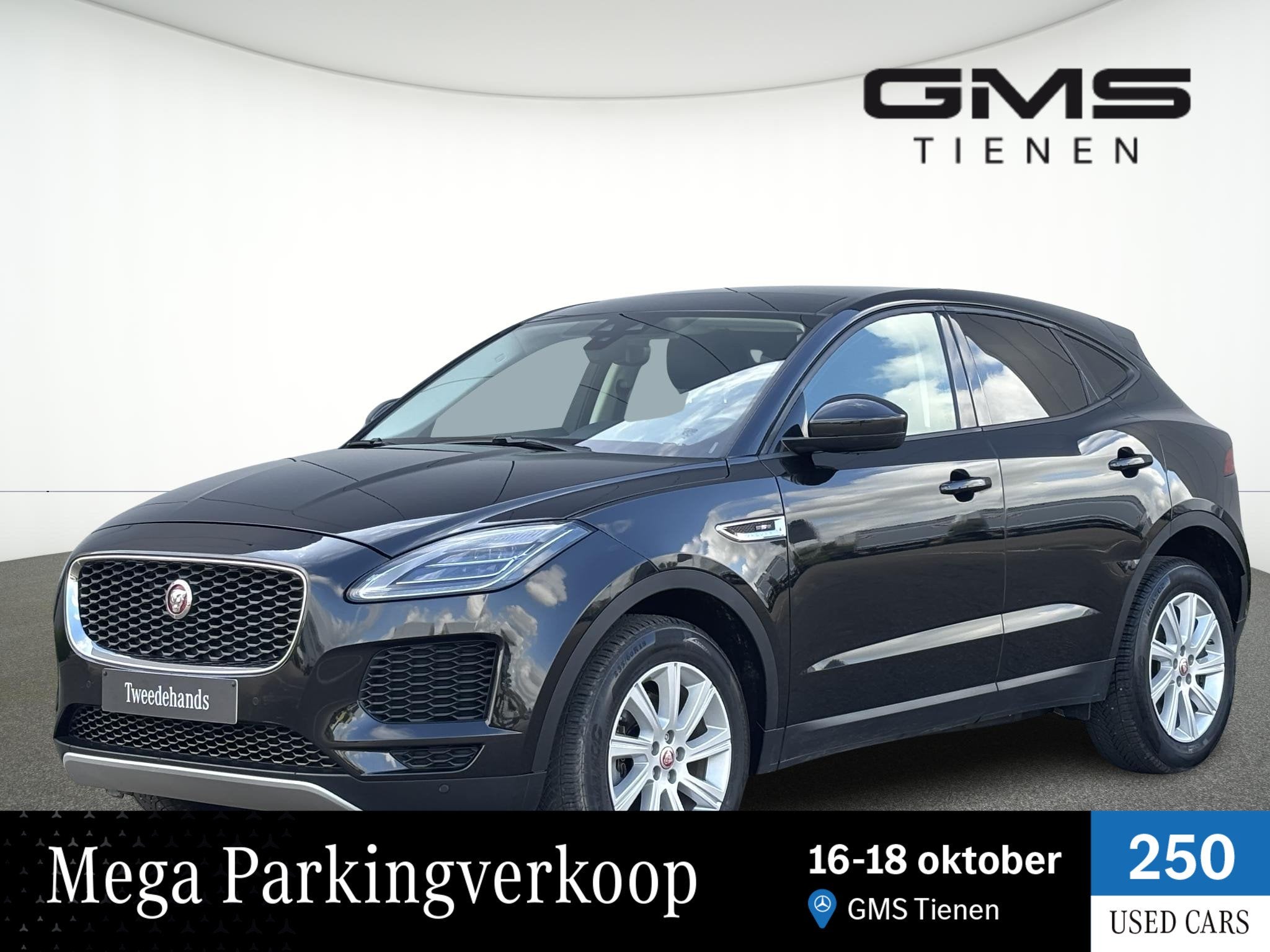 Jaguar E-Pace D150 FWD, Autos, Entreprise, Boîte manuelle, https://public.car-pass.be/vhr/78018b7a-b285-47dc-97ba-1bc415369916