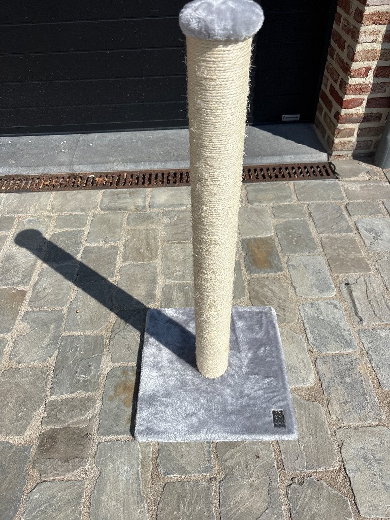 Krabpaal kat 2 weken oud, Enlèvement, Comme neuf