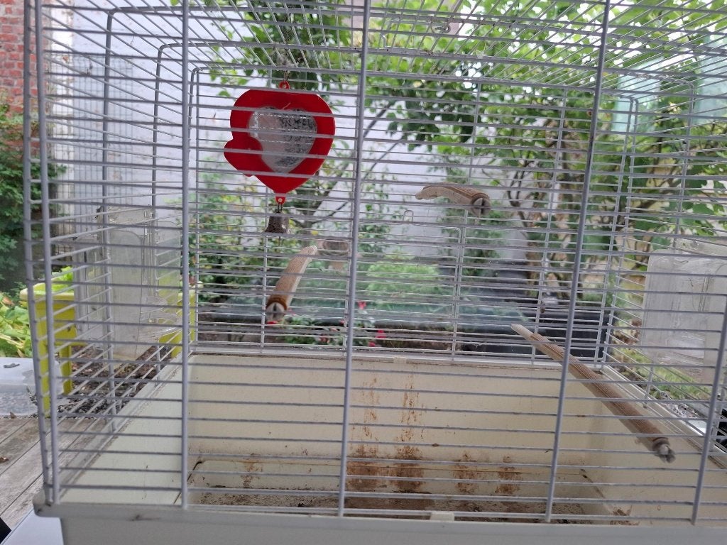 cage à oiseaux, Animaux & Accessoires, Enlèvement, Utilisé, Métal, Cage à oiseaux