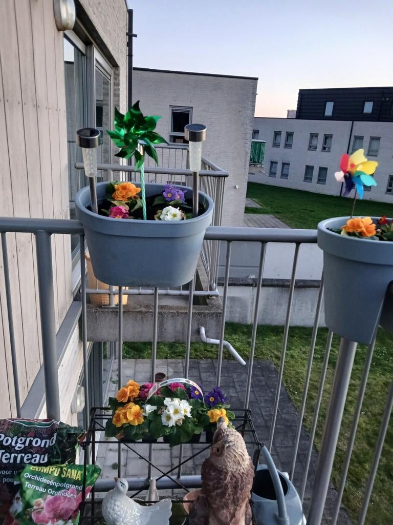 Grote ovalen bloempotten om over een balustrade te hangen., Enlèvement