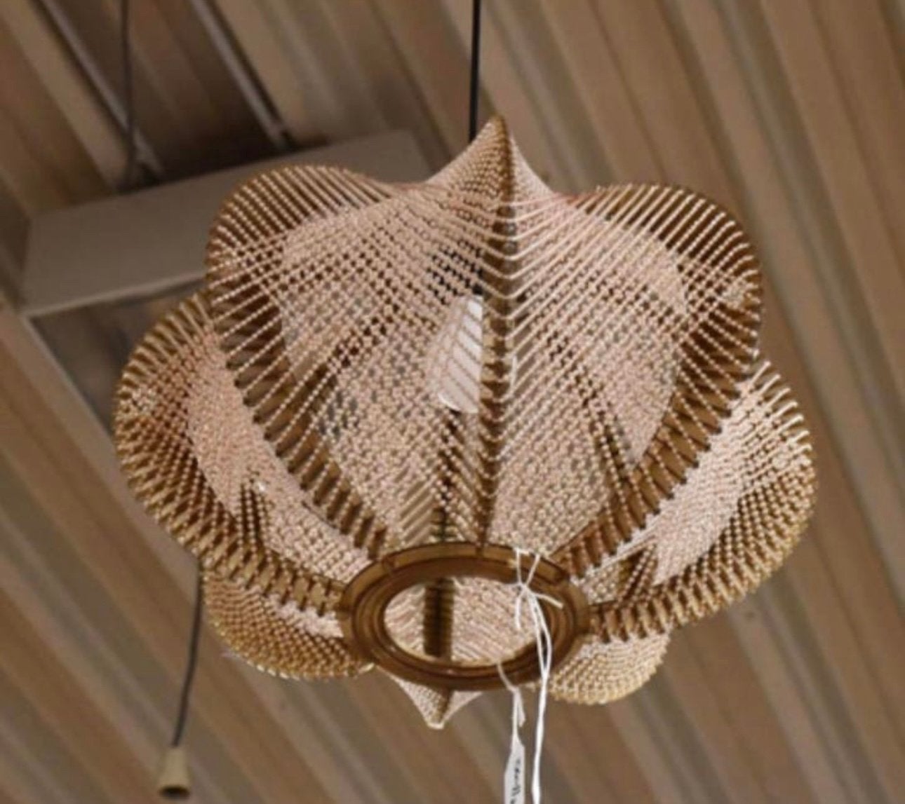 Lustre Suspension Sompex Paul Second, Enlèvement